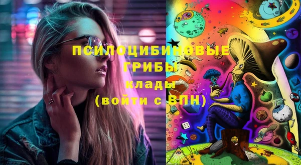 сатива Кинешма