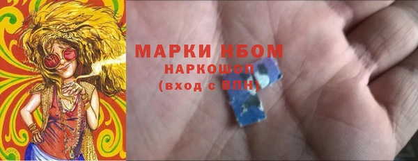 сатива Кинешма