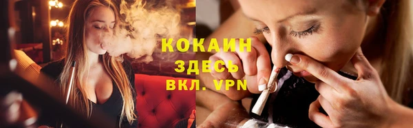 сатива Кинешма