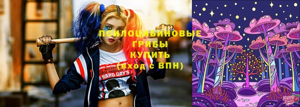 сатива Кинешма