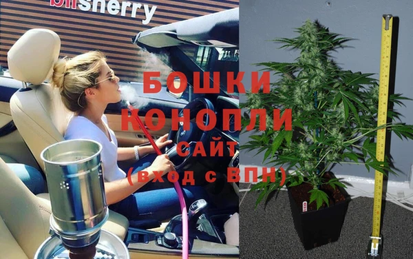 сатива Кинешма