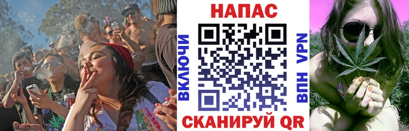Купить закладки  Петровск  Марихуана семена 